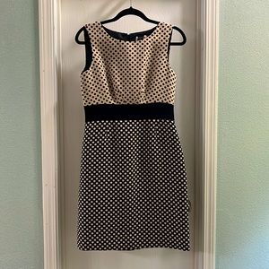 Tahari Size 6 Polka Dot Dress
